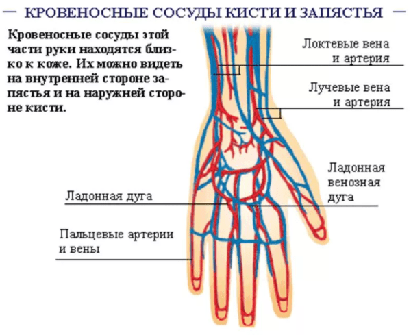 Тейпирование запястья при боли в суставе схема