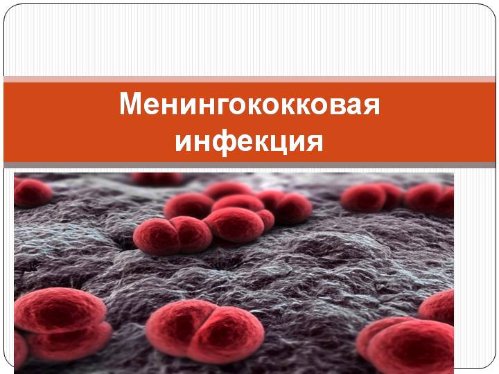 Менингококковая инфекция картинки