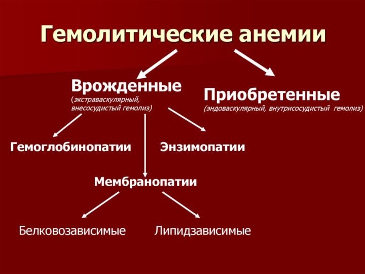 Гемолитическая анемия у детей презентация