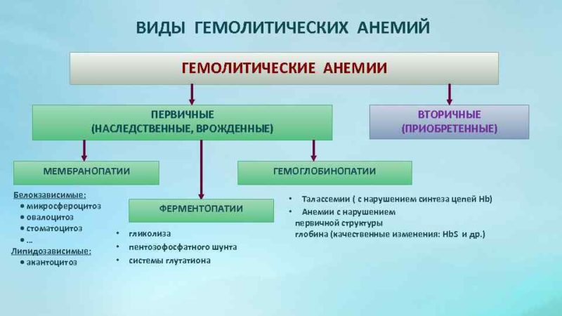 Гемолитическая анемия у детей презентация