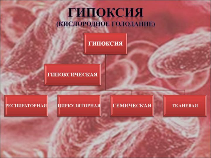 Серповидноклеточная анемия презентация