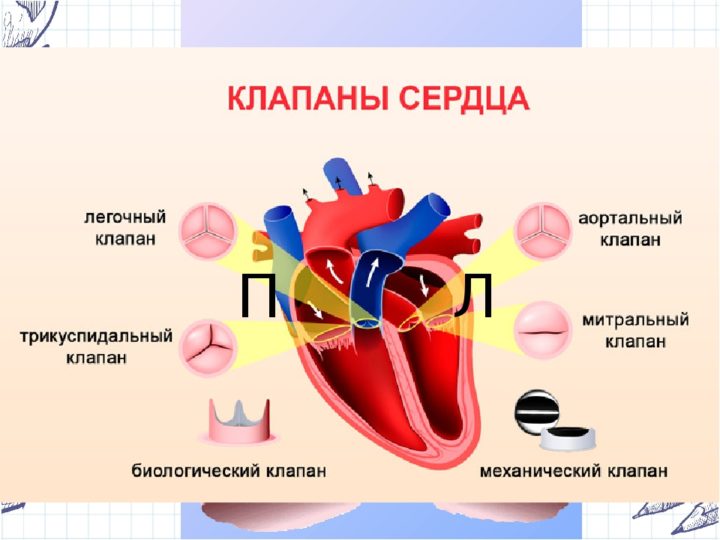 Болезнь сердечного клапана